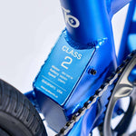 DELFINES DE QUALISPORTS