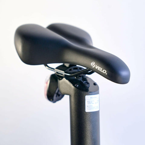 QUALISPORTS DOLPHIN