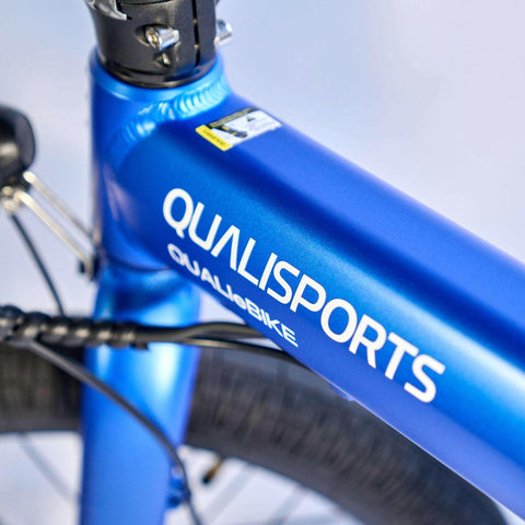 QUALISPORTS DOLPHIN