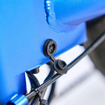 DELFINES DE QUALISPORTS