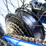 DELFINES DE QUALISPORTS