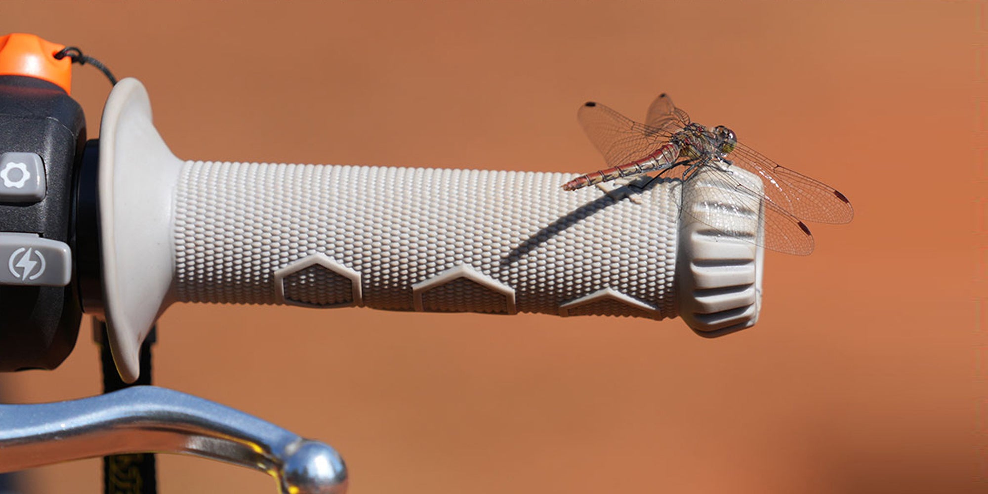 hyperbee Dragonfly perched on a bicycle handlebar grip with a blurred orange background