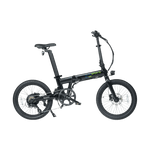 DELFINES DE QUALISPORTS