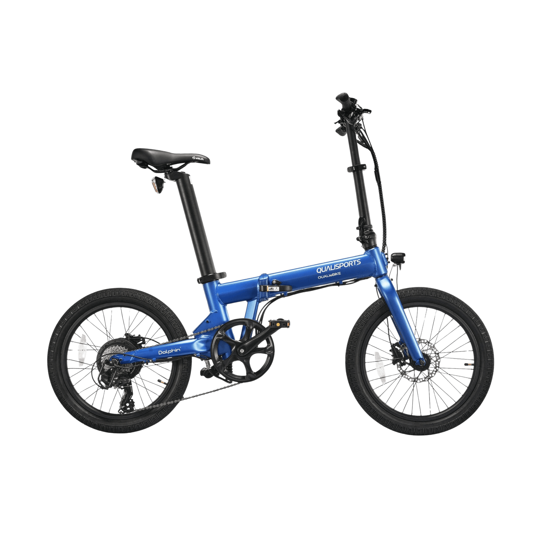 DELFINES DE QUALISPORTS