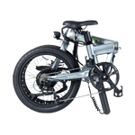 DELFINES DE QUALISPORTS