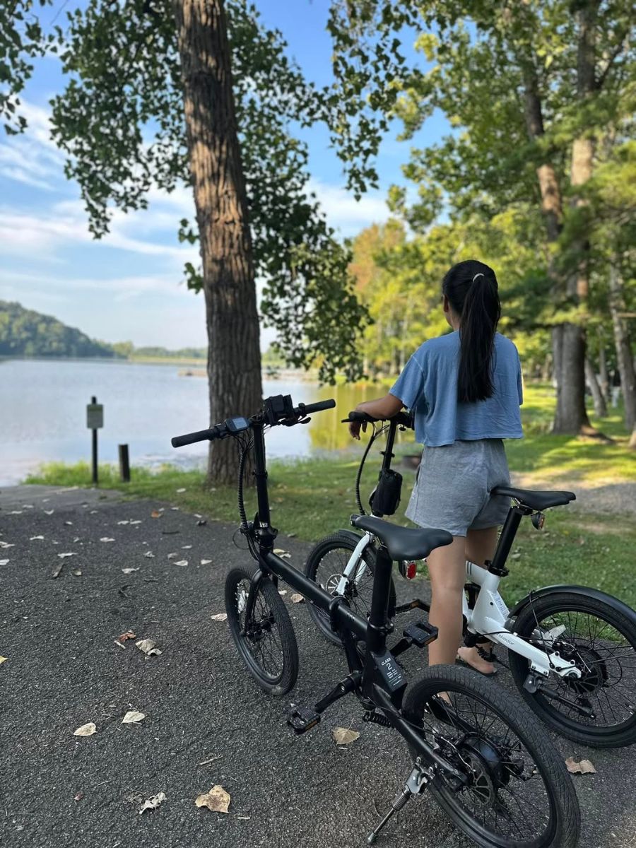 Texto alternativo de imagen