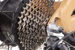 Bikonit MD750 all terrain hunting fishing powerful fat tire out door exploring RV camping Bafang Ultra mid drive air suspension quietkat rambo rouge ride surface Leili belt drive ebike
